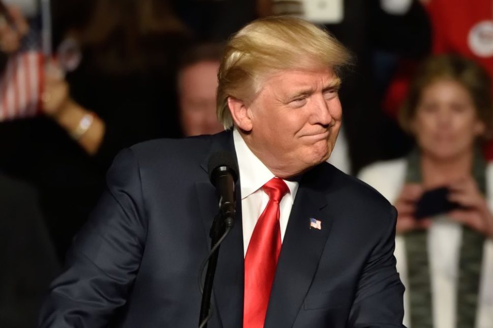 U.S. President Donald Trump | Evin El-Amin | Shutterstock.com