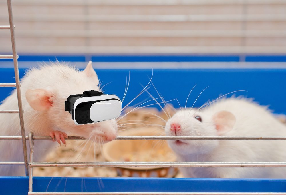 Why Scientists Make Real Animals Interact With VR in the Lab
