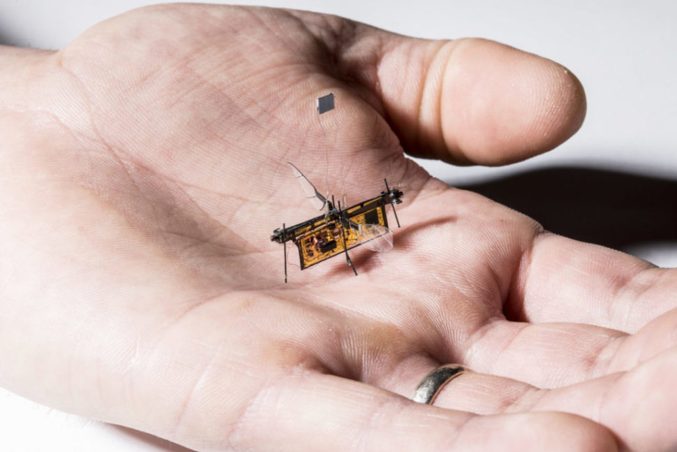 The insect robot, RoboFly | University of Washington