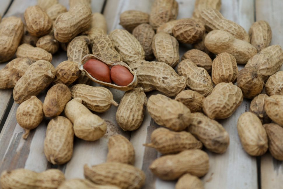 Peanut allergies can be one of the most difficult allergies to live with. Now, researchers may have found an emergency cure. | Image via 
shattha pilabut | Pexels