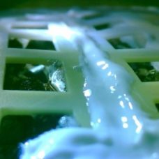 Photo of the cotton seedlings inside the biosphere created by CQU. | China Xinhua News Twitter