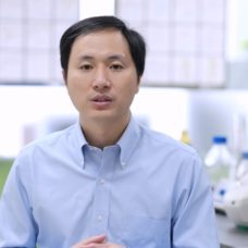 He Jiankui | The He Lab