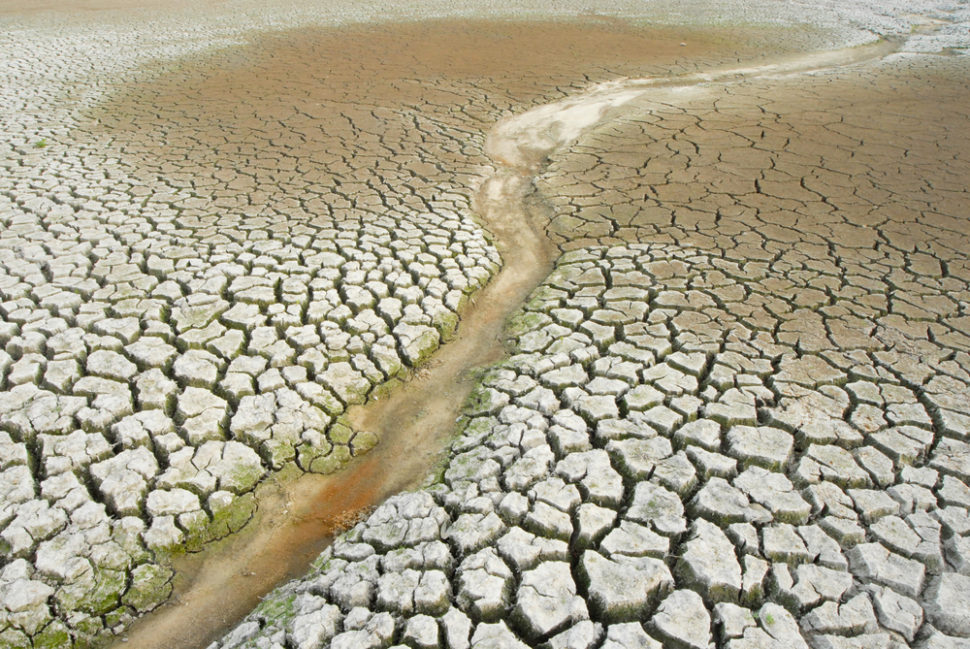 The world's groundwater reserves are in crisis. | Image By Gecko1968 | Shutterstock.com