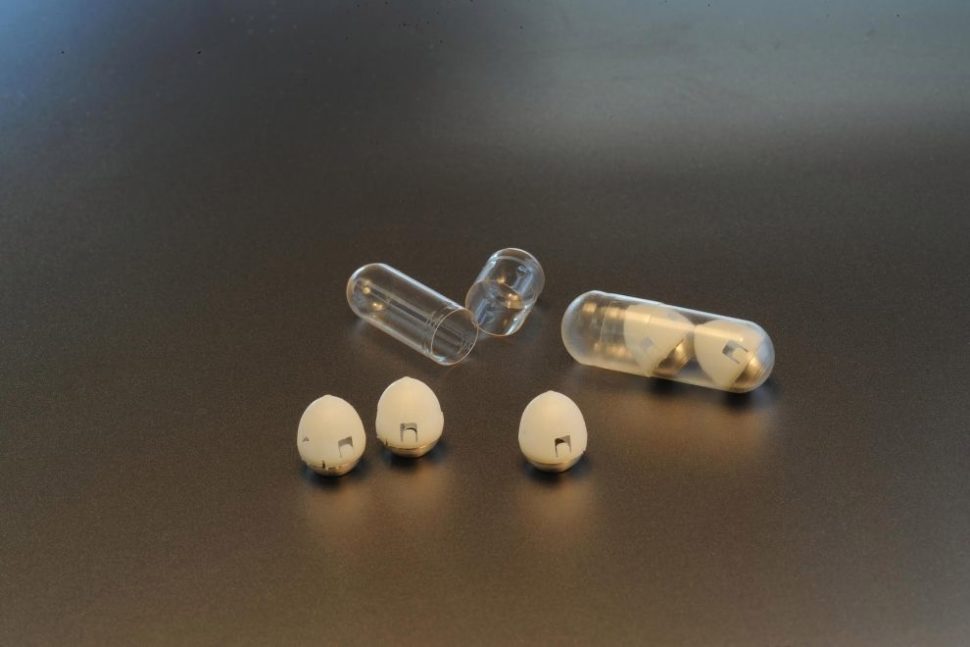 The insulin pill/ drug capsule developed by MIT researchers | Image courtesy of Felice Frankel