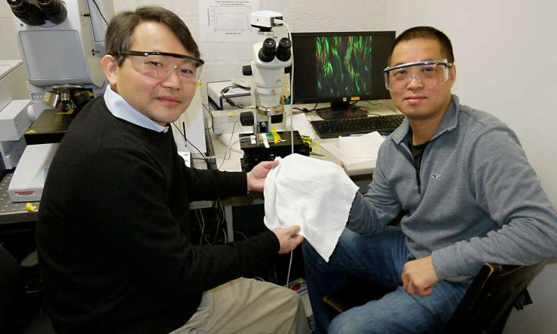 Professor YuHuang Wang (left) and colleague Professor Min Ouyang (right) holding a patch of the new fabric that they developed | Image courtesy of Faye Levine | University of Maryland