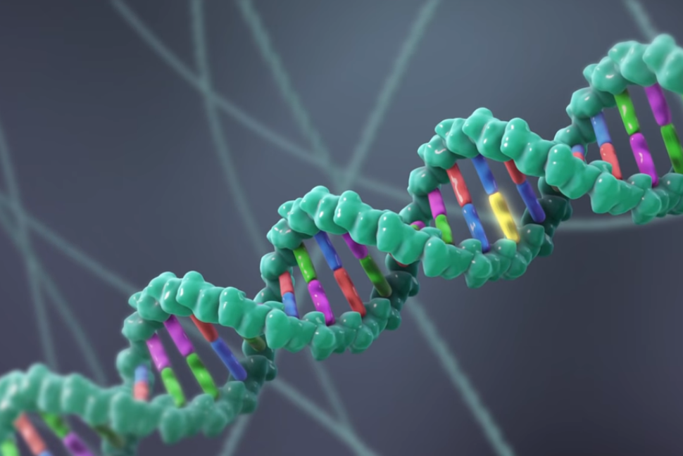 Изменение генома клетки. Генная инженерия. Мутация генов. Геном человека. Мутация Гена.